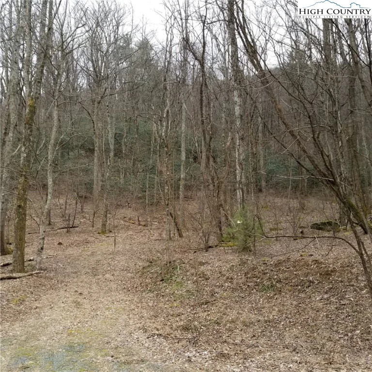 Image number 4 for the current listing