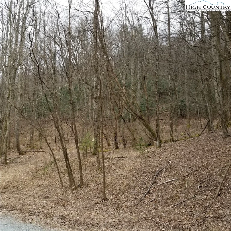 Image number 5 for the current listing