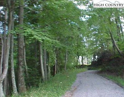 Image number 1 for the current listing