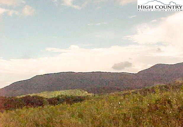 Image number 6 for the current listing