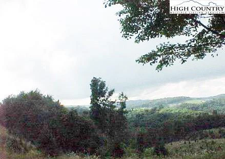 Image number 7 for the current listing