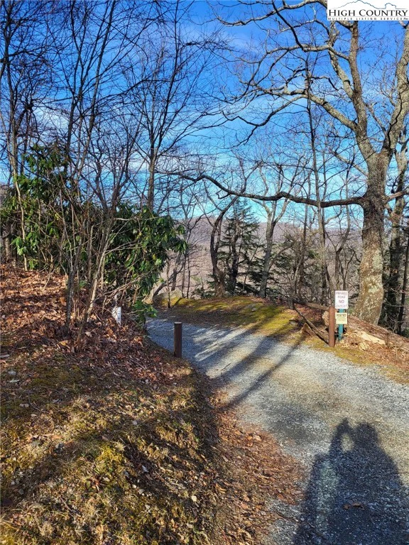 Image number 4 for the current listing