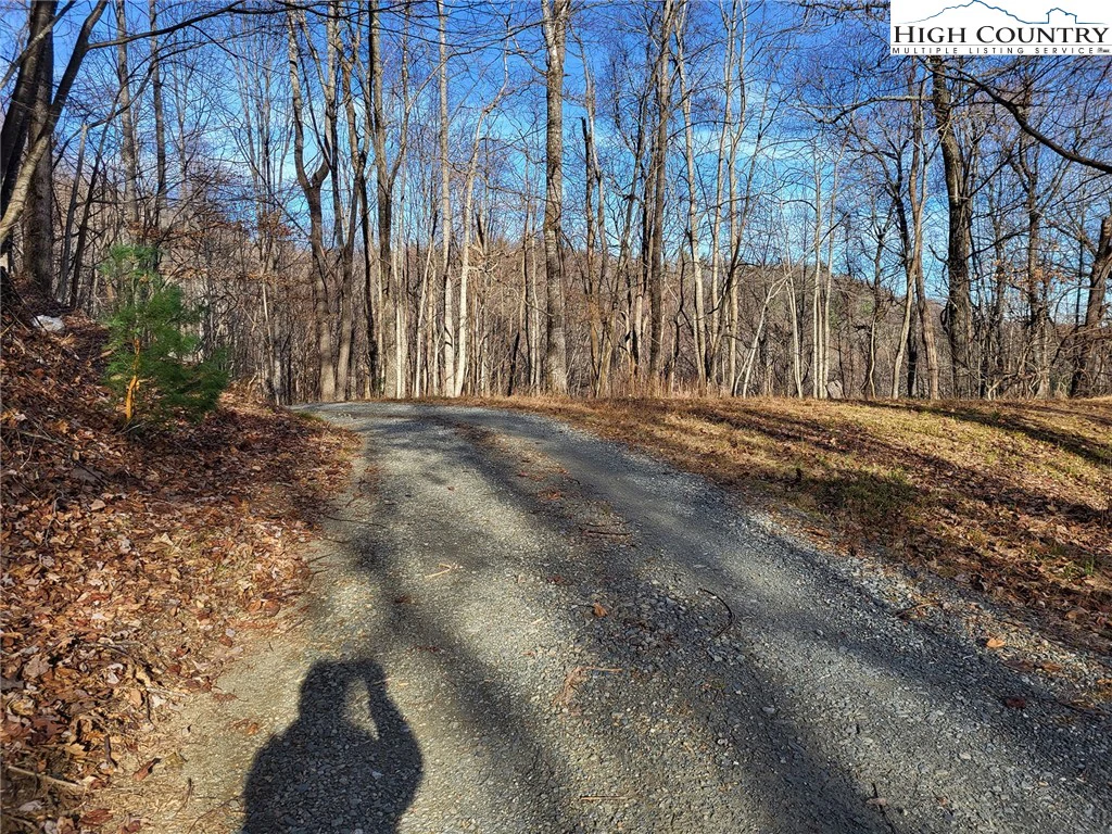 Image number 5 for the current listing