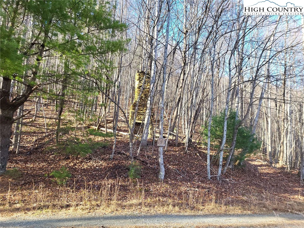 Image number 7 for the current listing