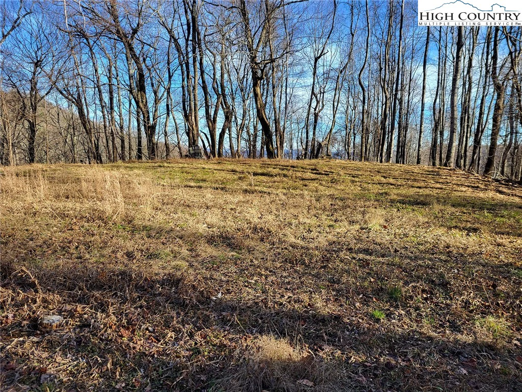 Image number 9 for the current listing