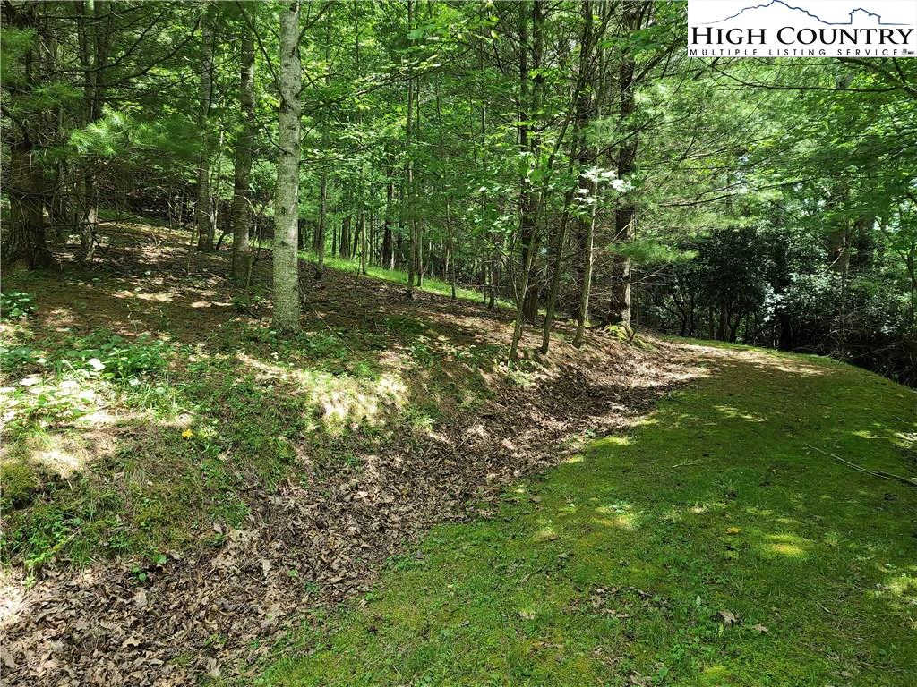 Image number 1 for the current listing