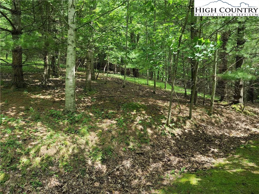 Image number 3 for the current listing