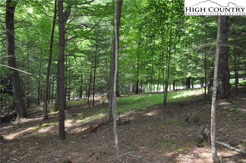 Image number 4 for the current listing
