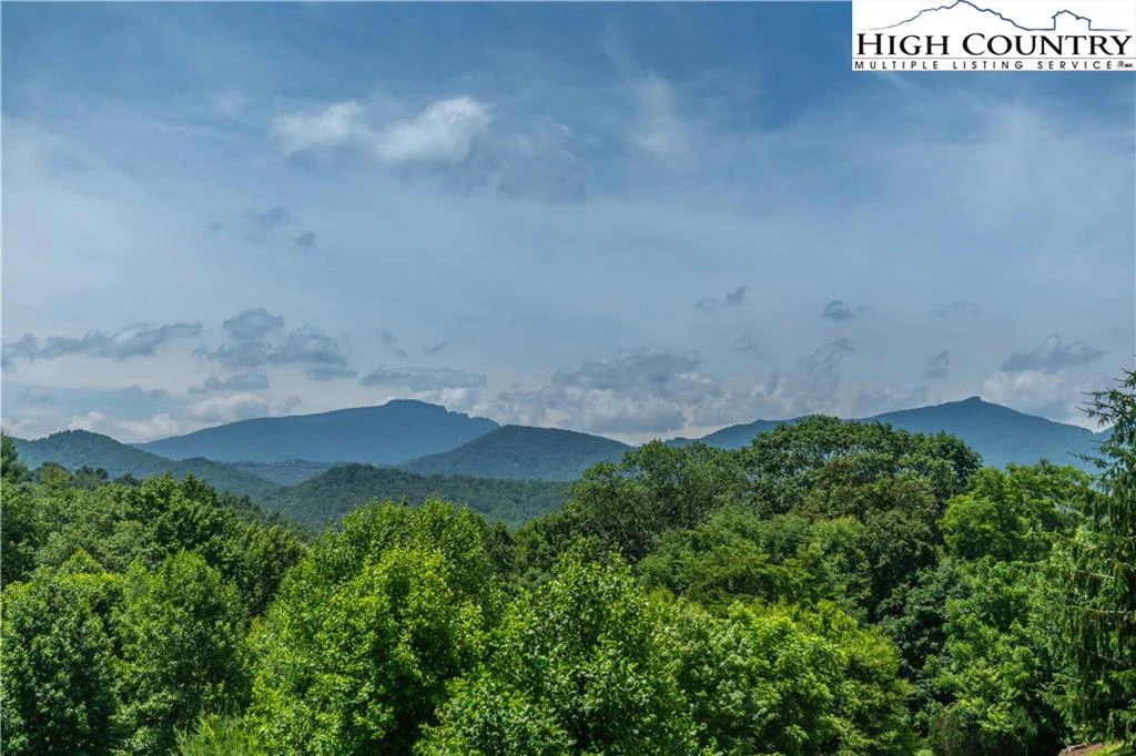 Image number 5 for the current listing