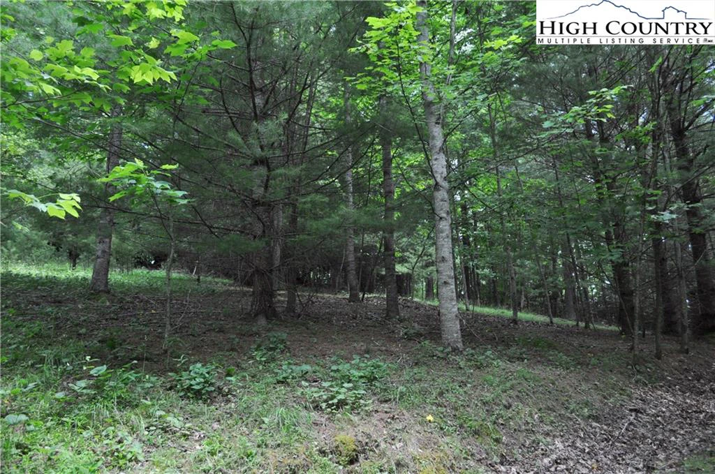 Image number 8 for the current listing