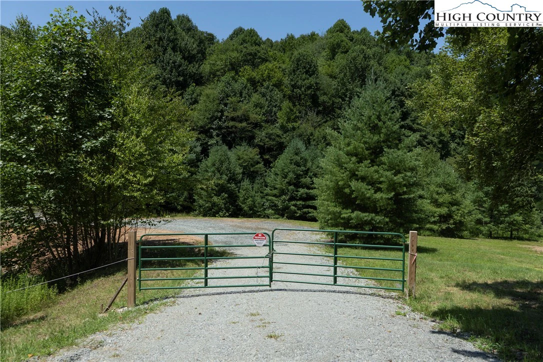 Image number 1 for the current listing