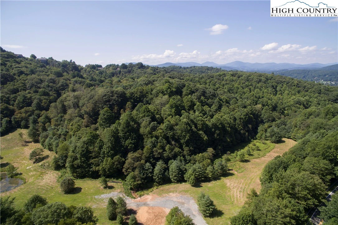 Image number 21 for the current listing