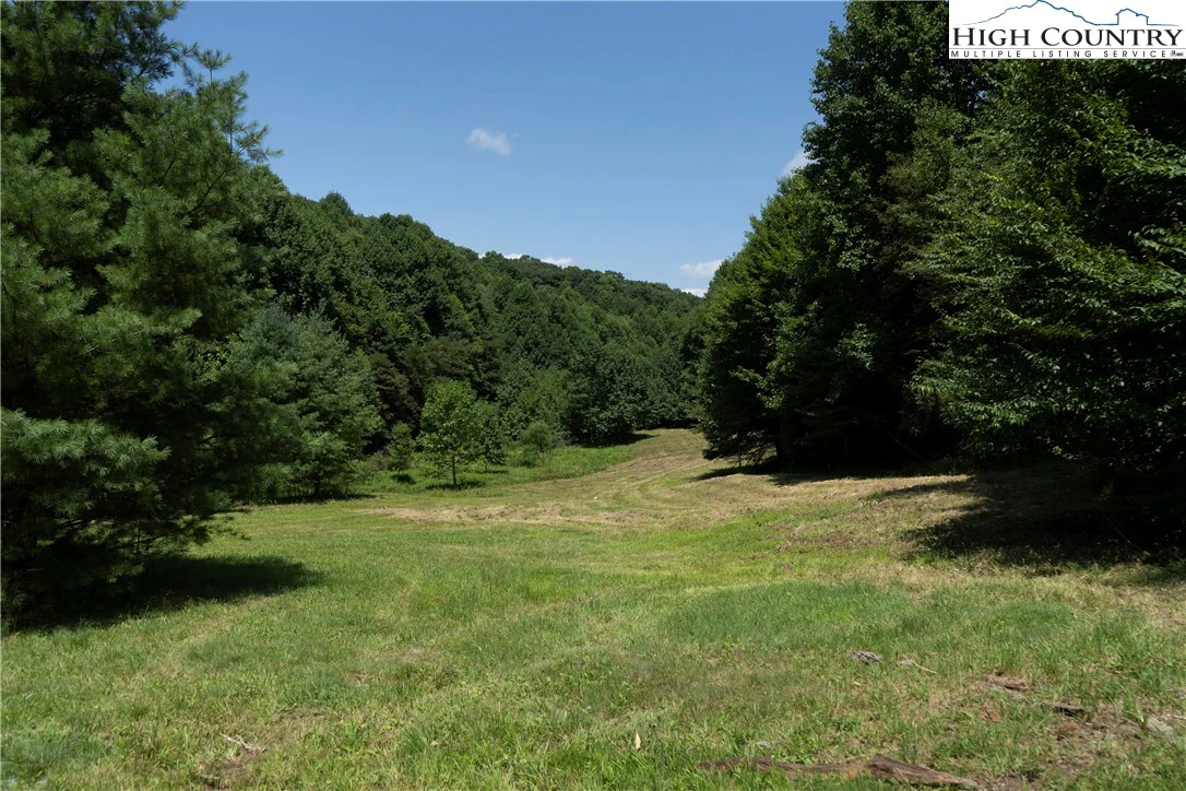 Image number 15 for the current listing