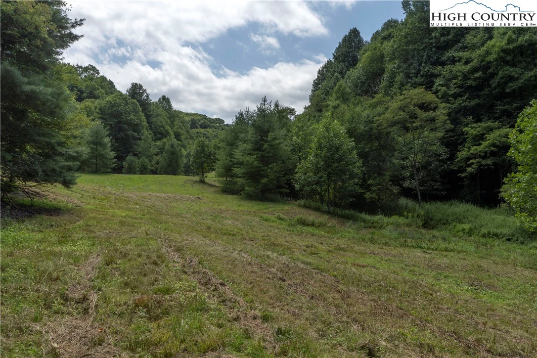 Image number 2 for the current listing