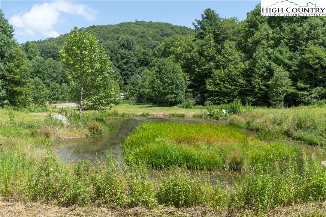 Image number 14 for the current listing
