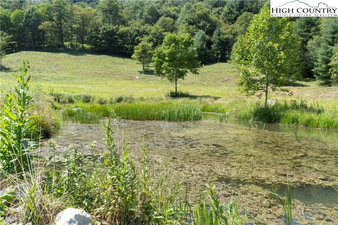 Image number 13 for the current listing