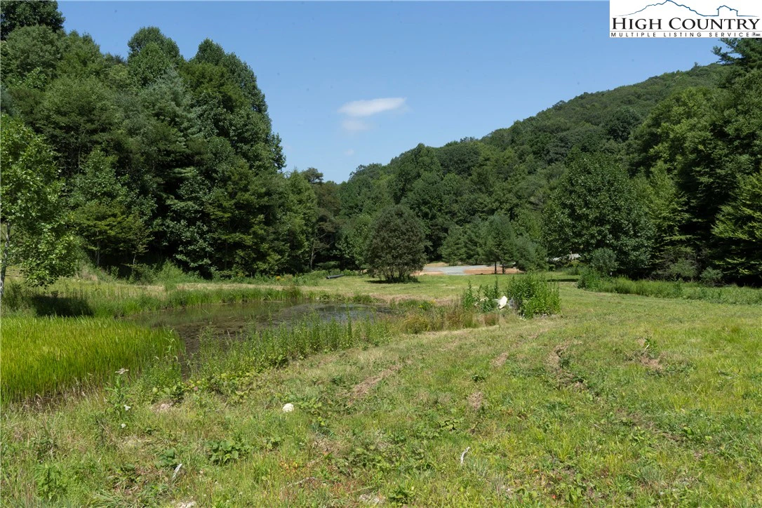 Image number 11 for the current listing