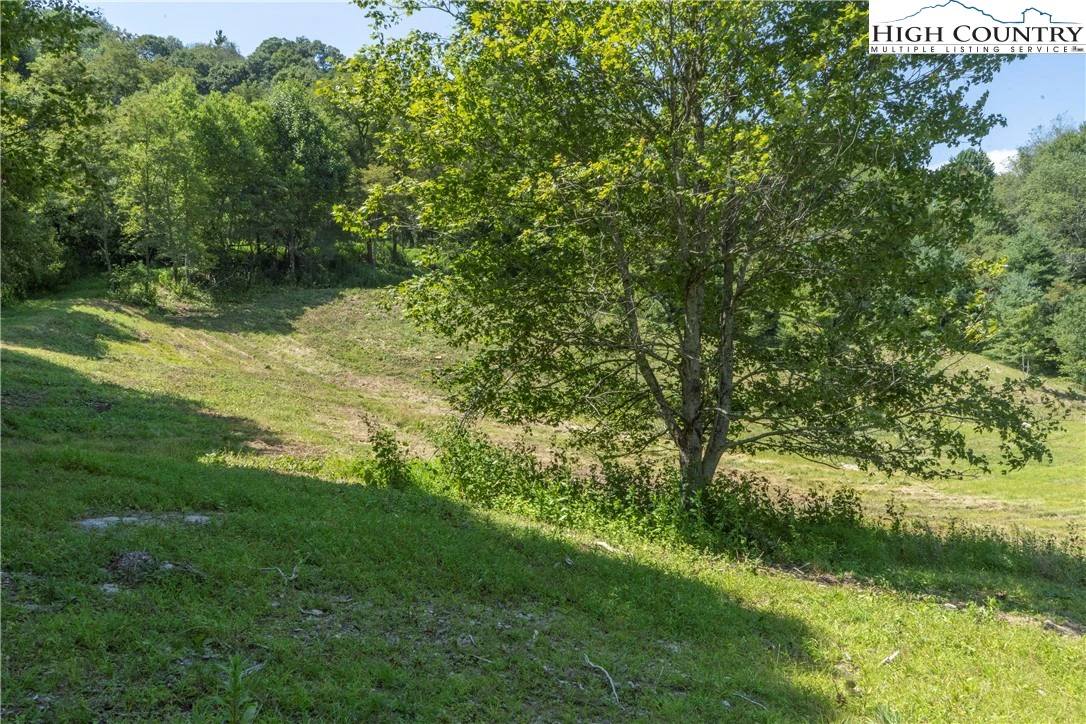 Image number 9 for the current listing