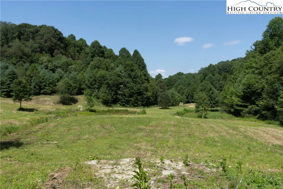 Image number 7 for the current listing