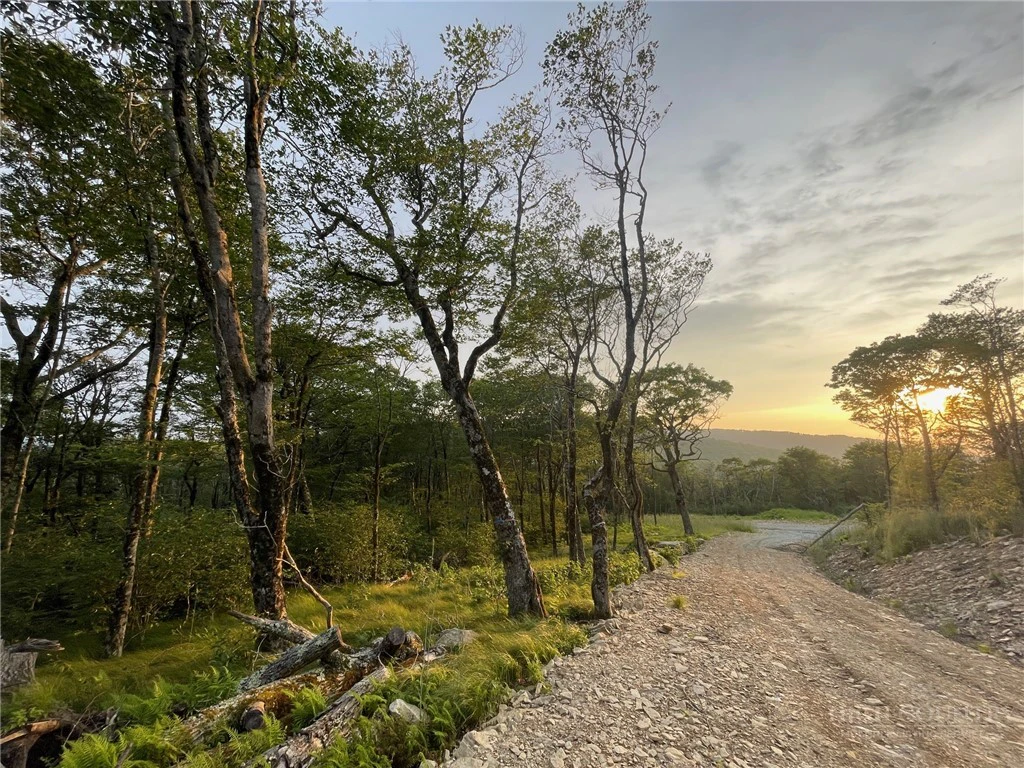Image number 7 for the current listing