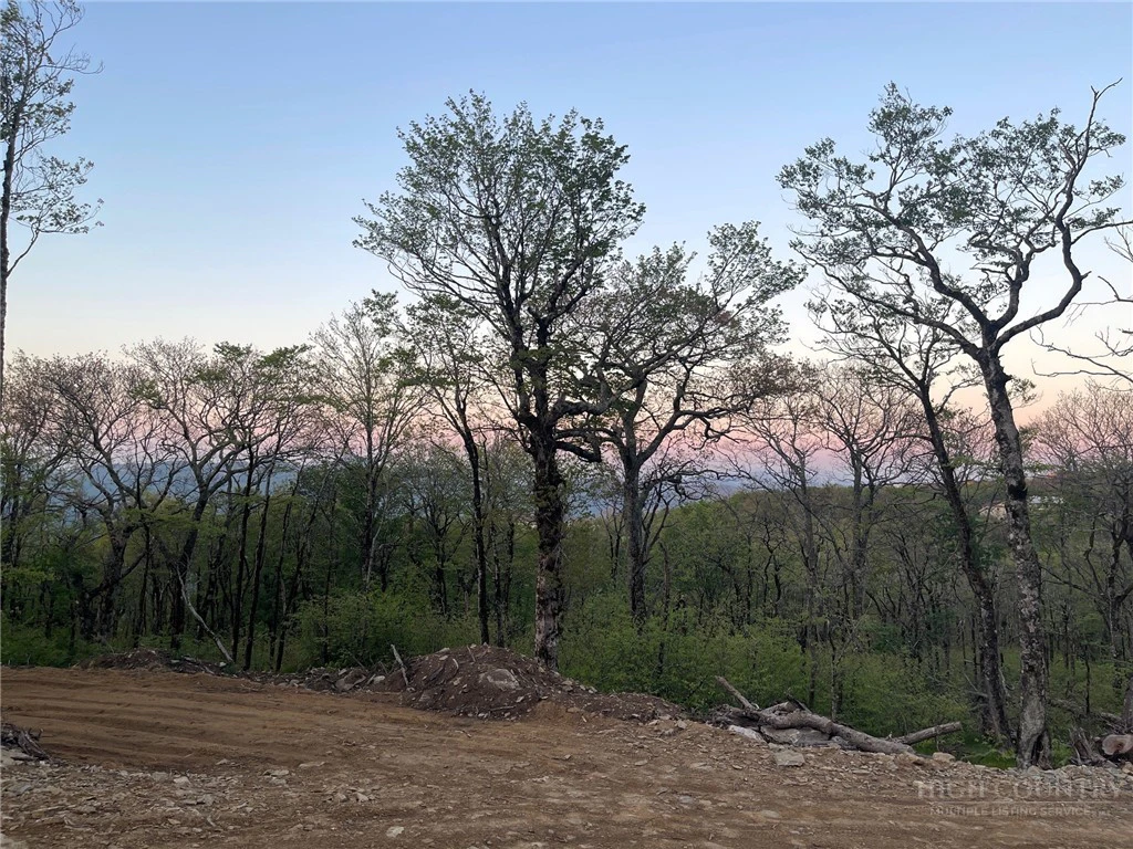 Image number 4 for the current listing