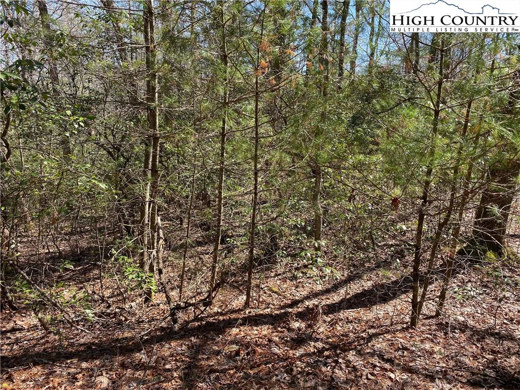 Image number 1 for the current listing