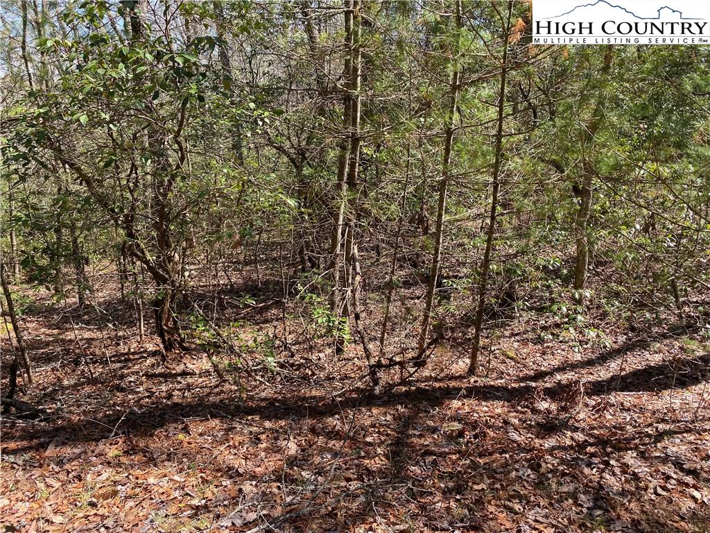 Image number 3 for the current listing