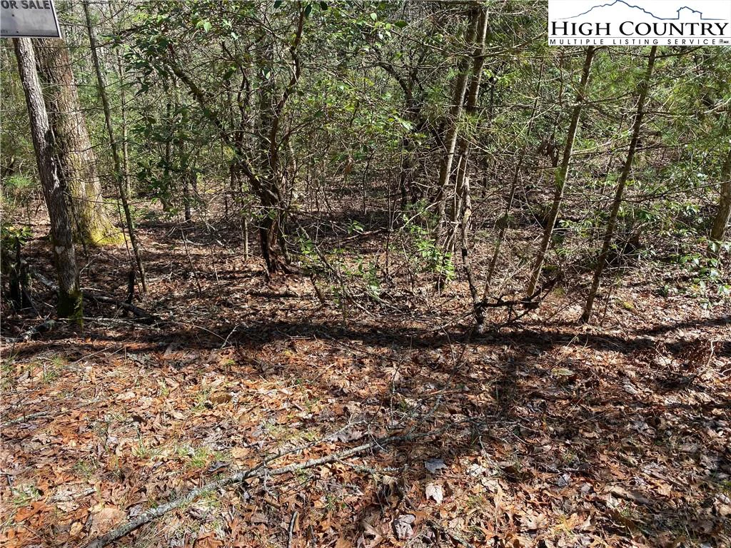 Image number 4 for the current listing