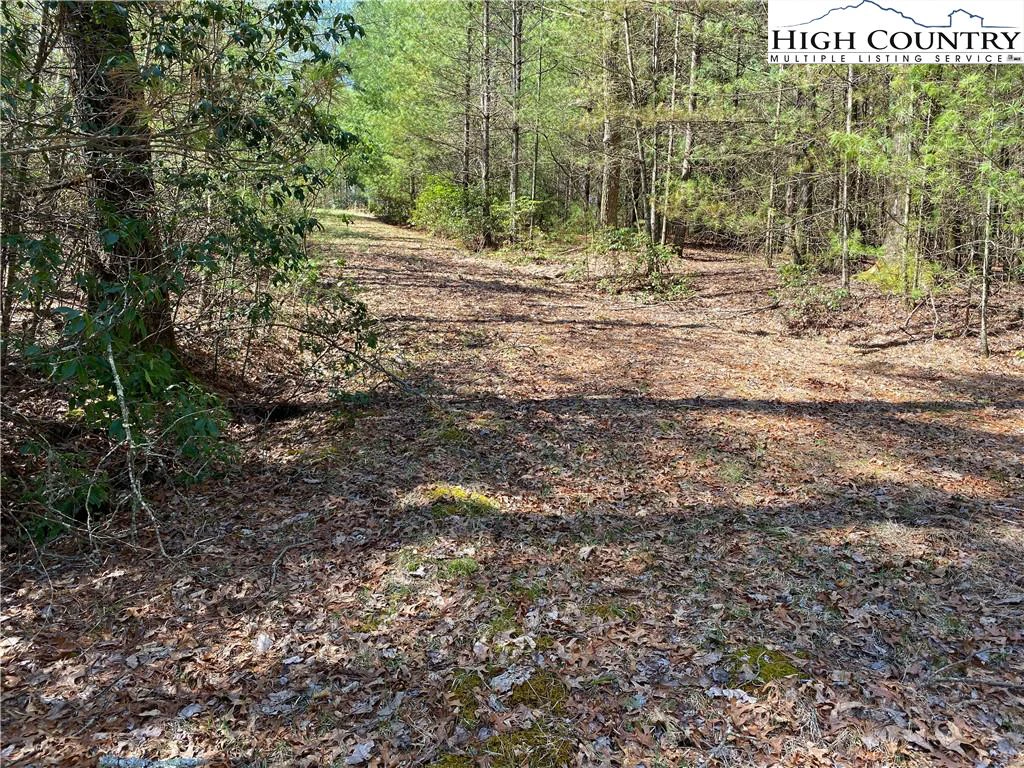 Image number 5 for the current listing