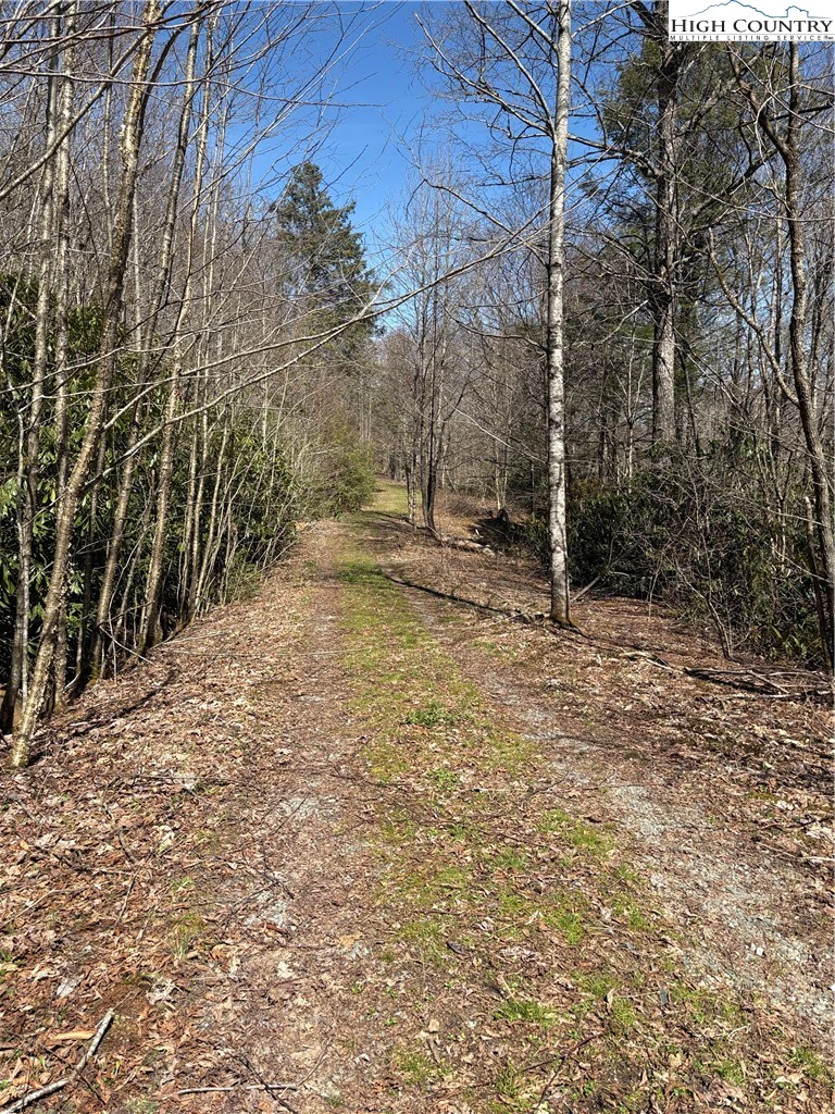 Image number 5 for the current listing