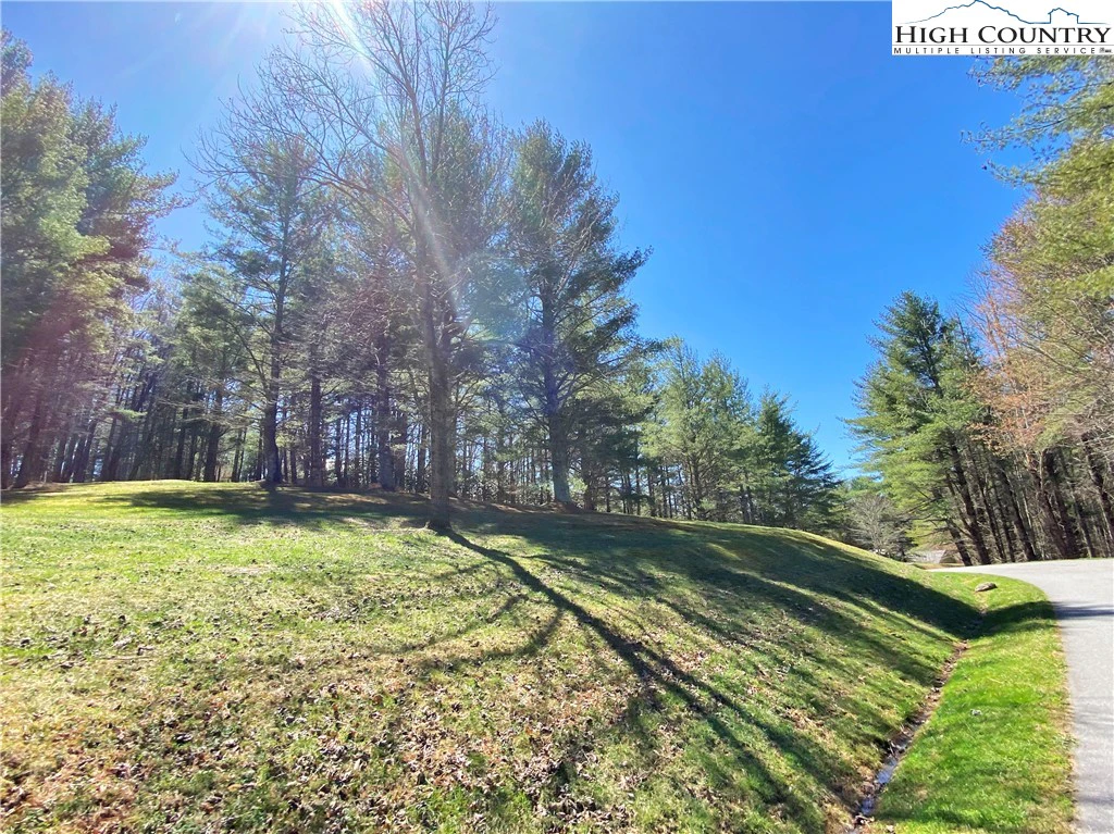 Image number 14 for the current listing