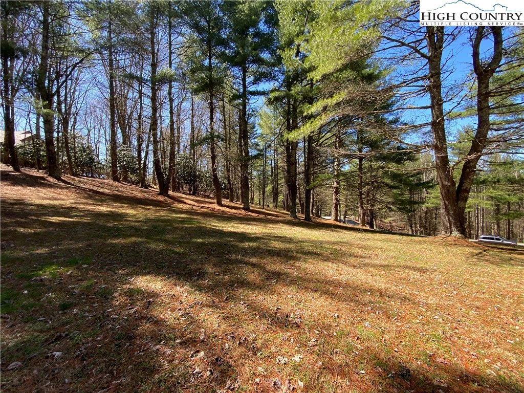 Image number 3 for the current listing