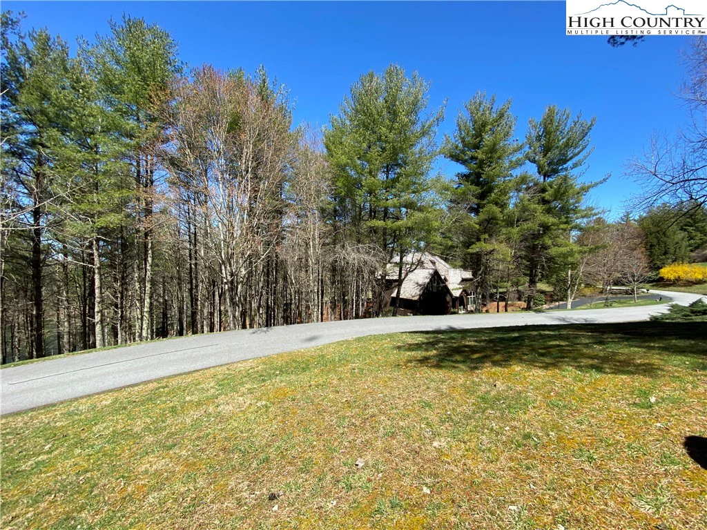Image number 4 for the current listing