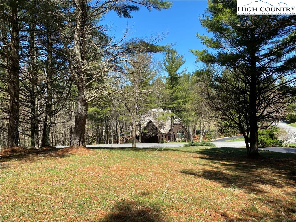 Image number 5 for the current listing