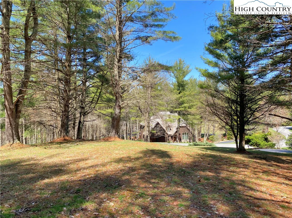 Image number 6 for the current listing