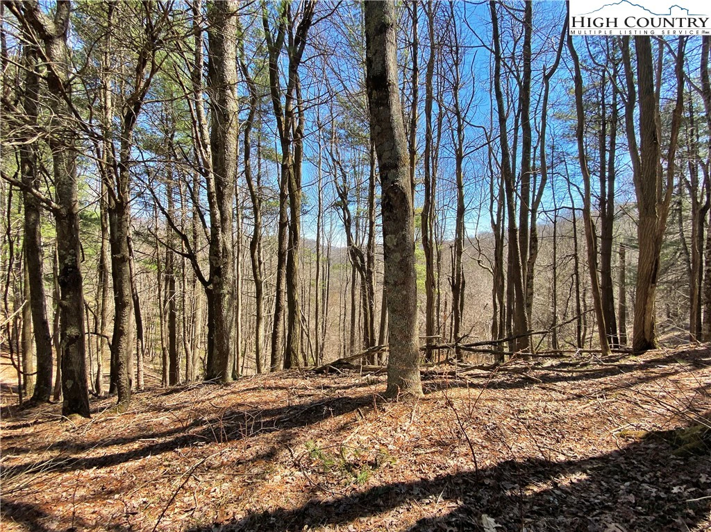 Image number 7 for the current listing