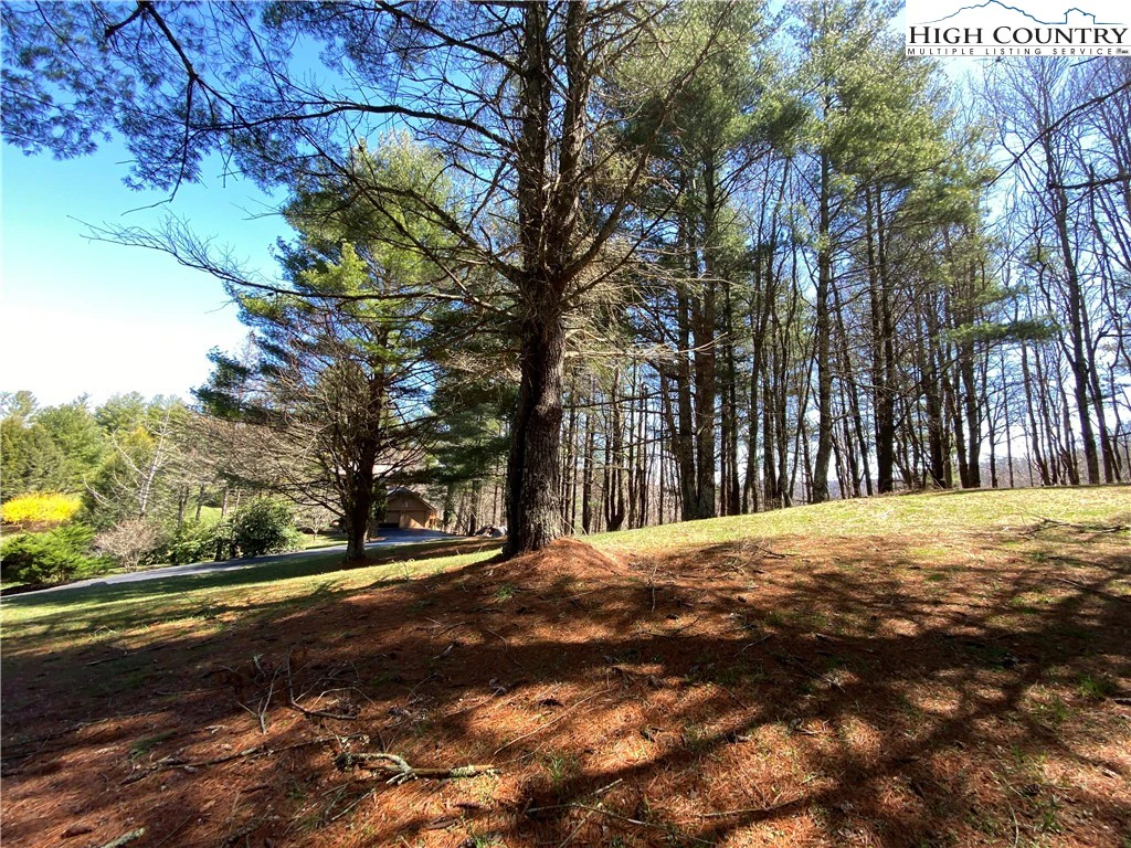 Image number 9 for the current listing