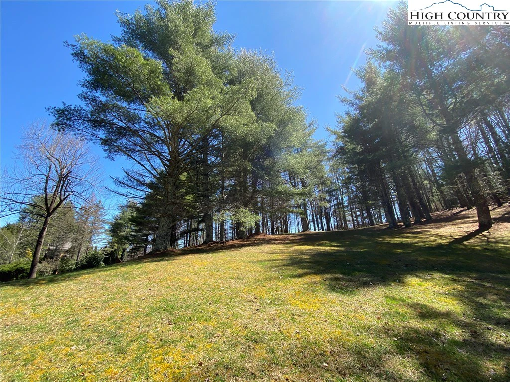 Image number 11 for the current listing