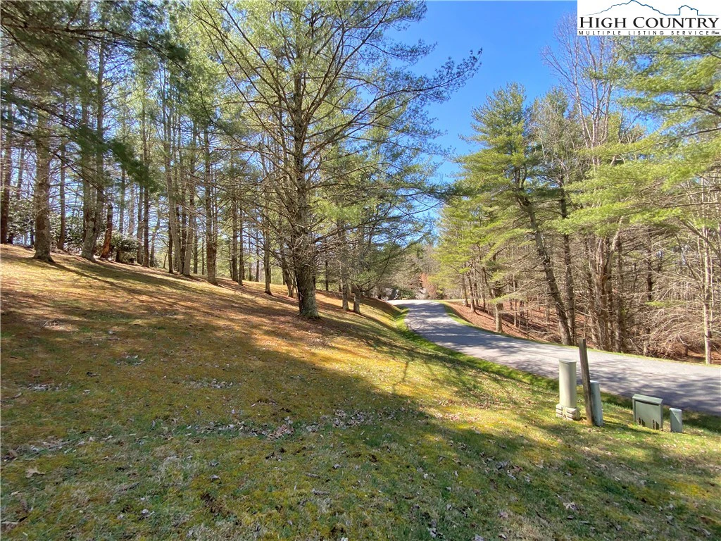 Image number 12 for the current listing