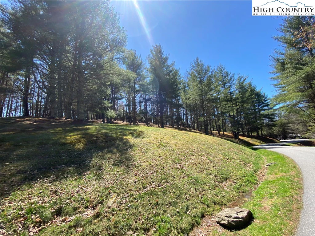 Image number 2 for the current listing