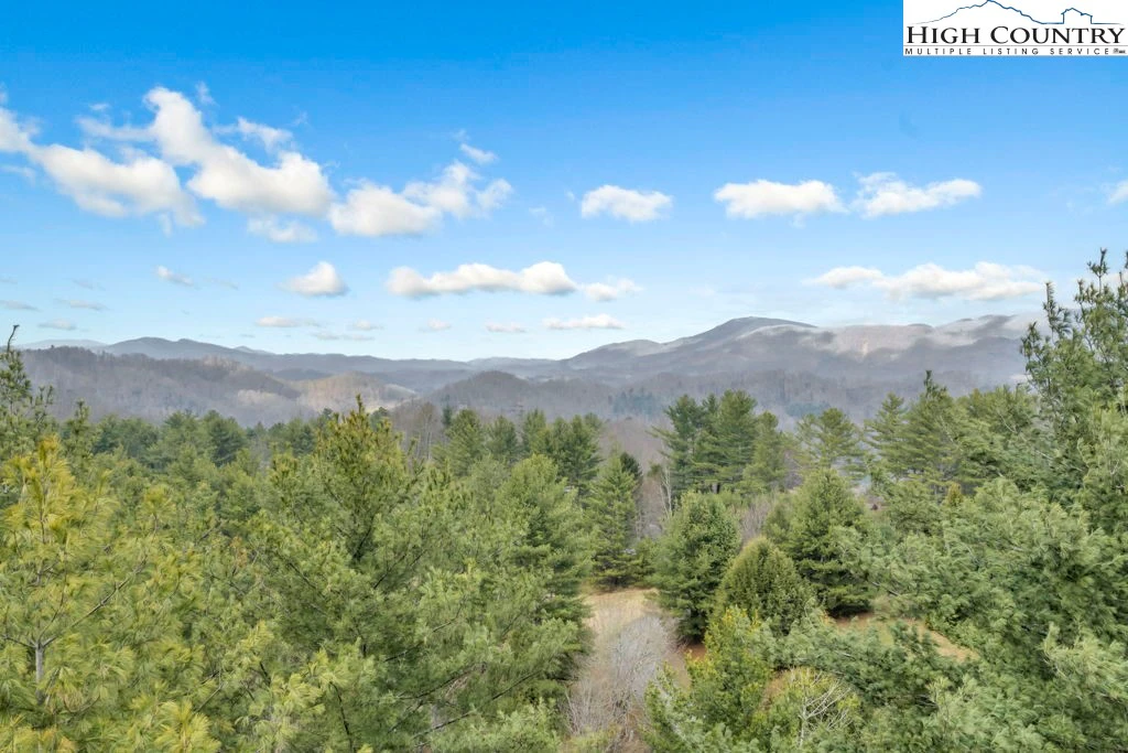 Image number 1 for the current listing