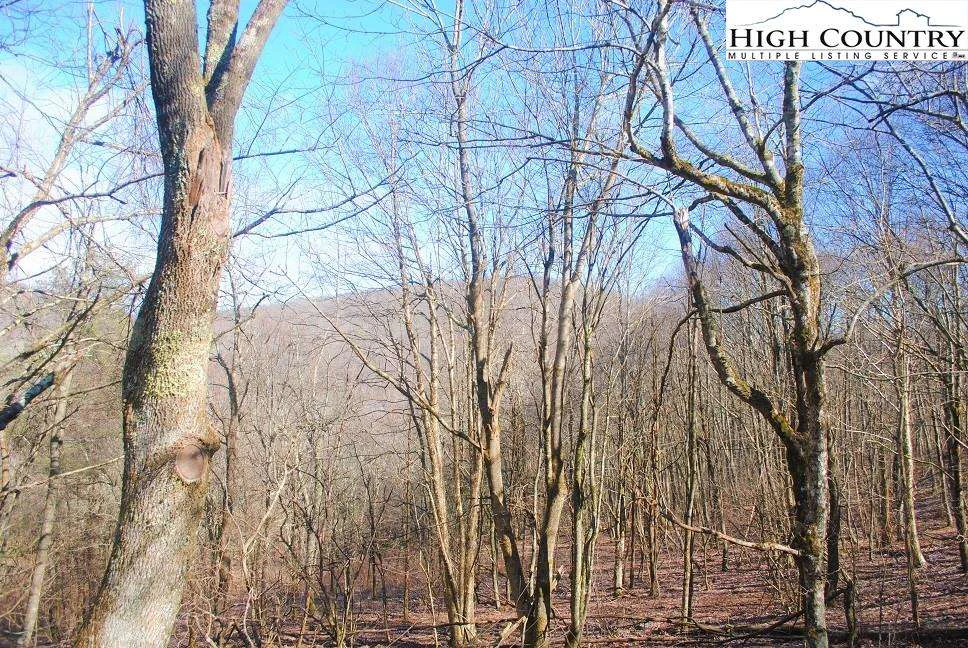 Image number 1 for the current listing