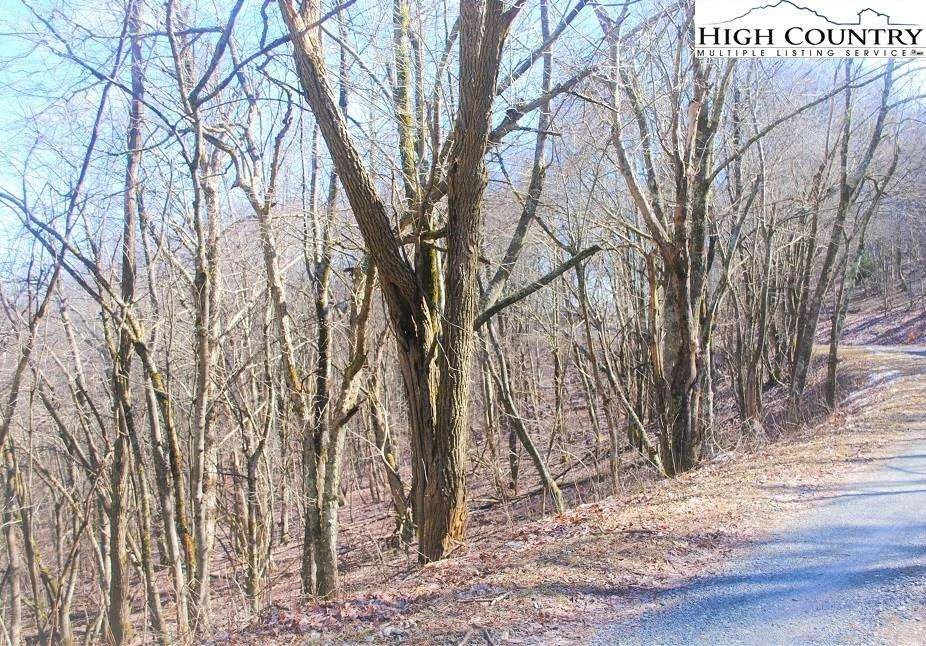 Image number 3 for the current listing