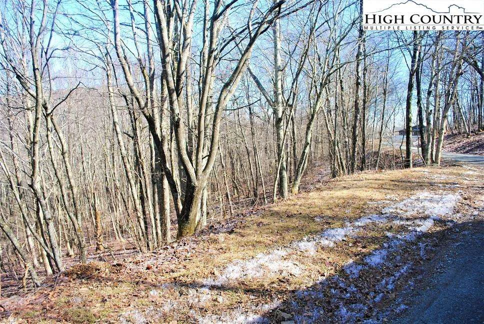 Image number 4 for the current listing