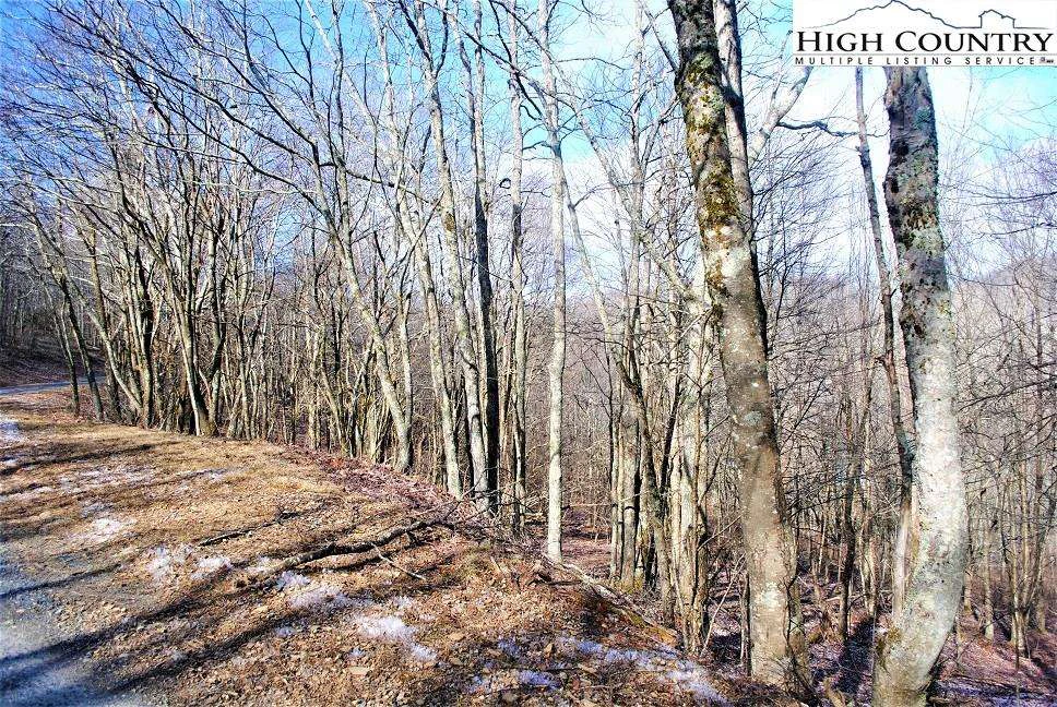 Image number 5 for the current listing