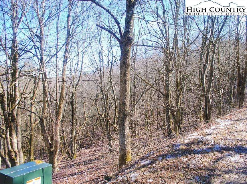 Image number 8 for the current listing