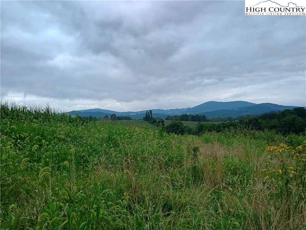 Image number 7 for the current listing