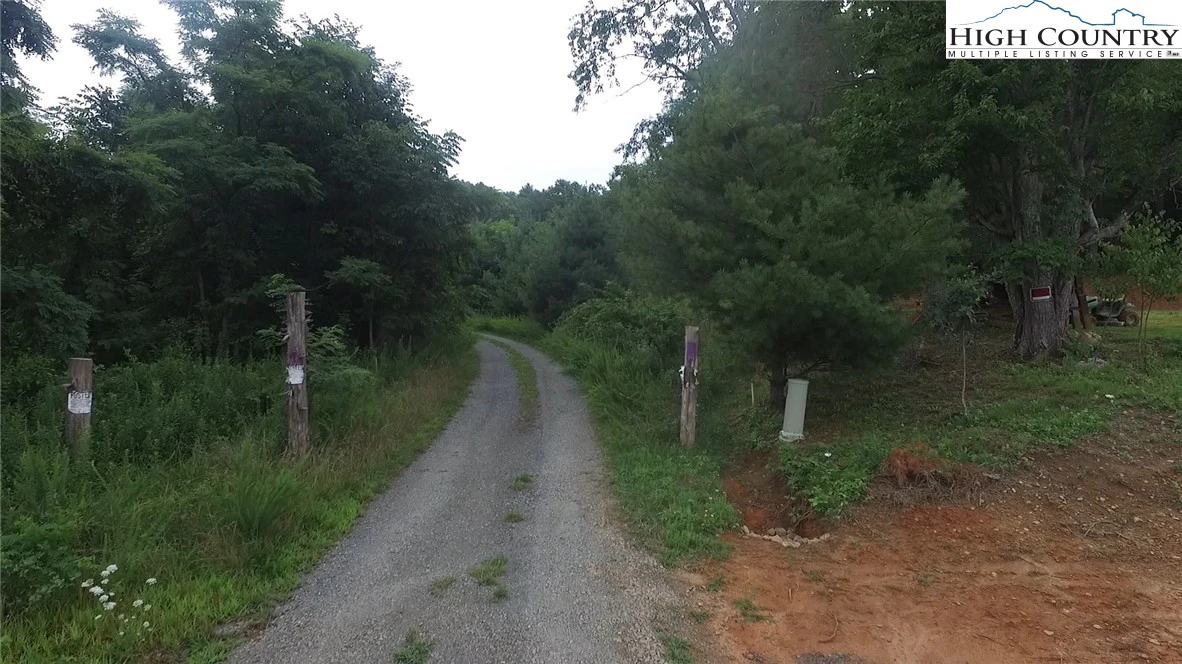 Image number 5 for the current listing