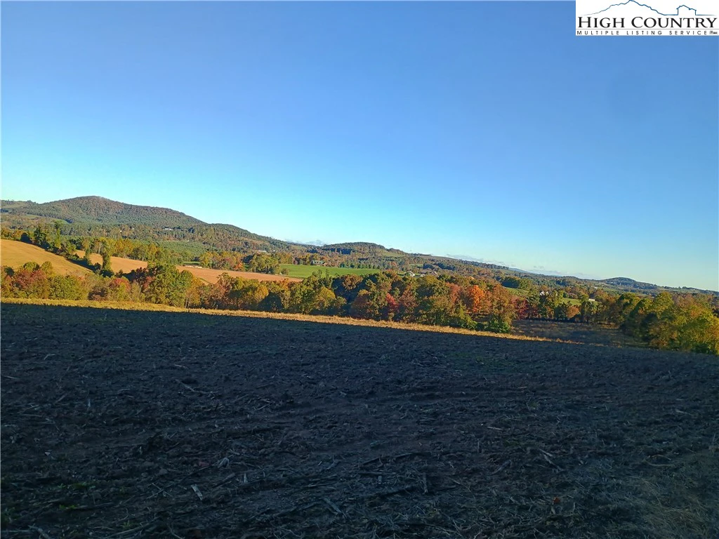 Image number 1 for the current listing