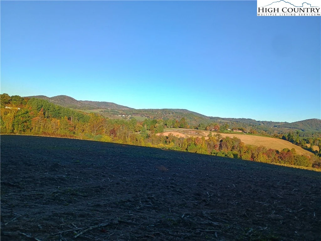 Image number 11 for the current listing